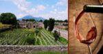 Pompei & Wine Tasting (Full-Day)